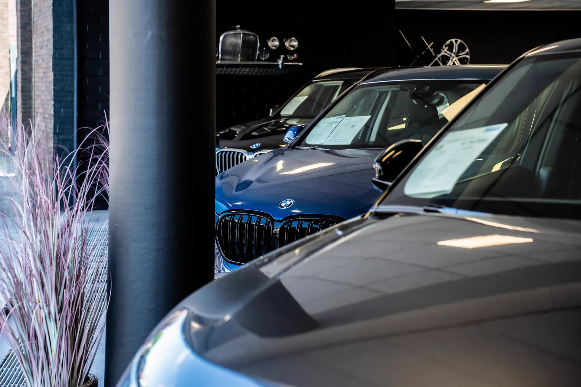Carcenter STV showroom — BMW en premium occasies in Menen Interieur van de Carcenter STV showroom in Menen met een blauwe BMW SUV en premium occasies